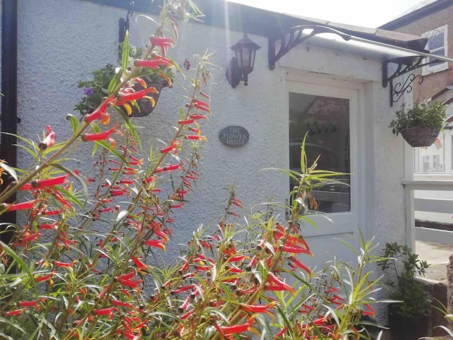 Saint Erth The Flower House, Idyllic Cornish Retreat. 아파트 외부 사진